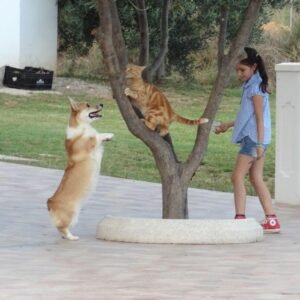 Visita Guiada al Criadero Simague